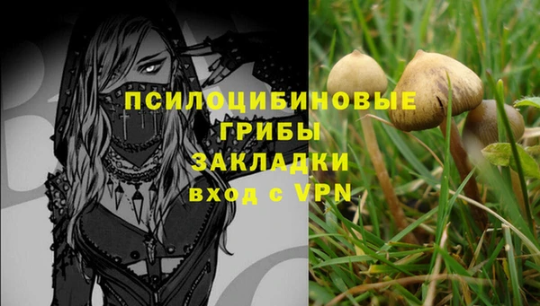 бошки Надым